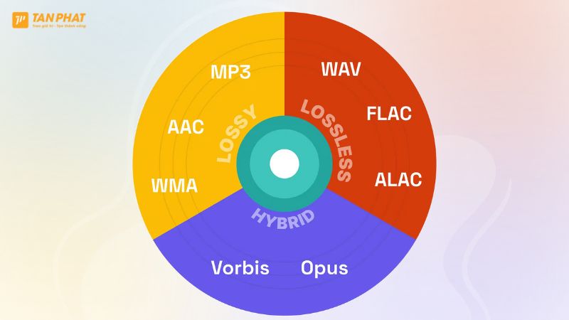 codec-la-gi (5)