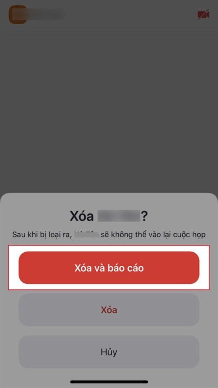 Nếu Người Mà Bạn Xóa Ra Khỏi Phòng Zoom Là Người Lạ, Bạn Có Thể Chọn Xóa Vào Báo Cáo.