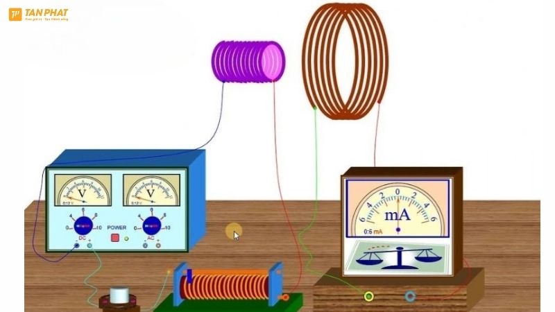 cam-ung-tu-la-gi (2)