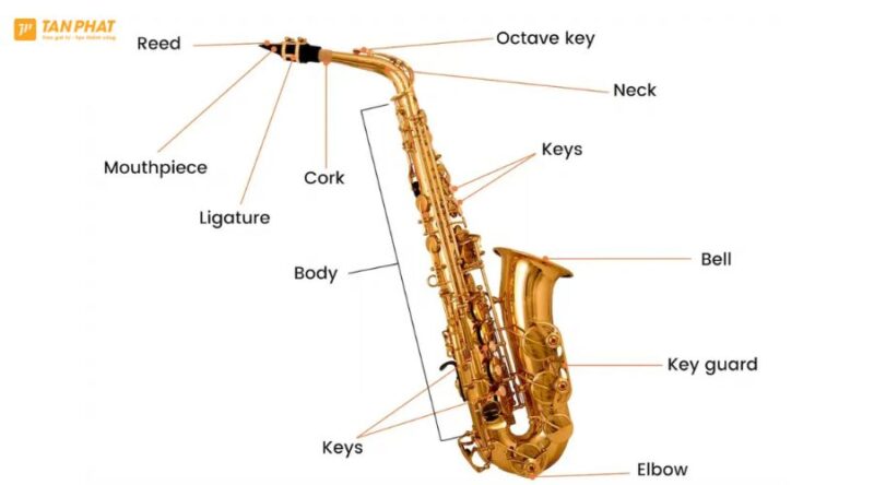 ken-saxophone-la-gi (3)