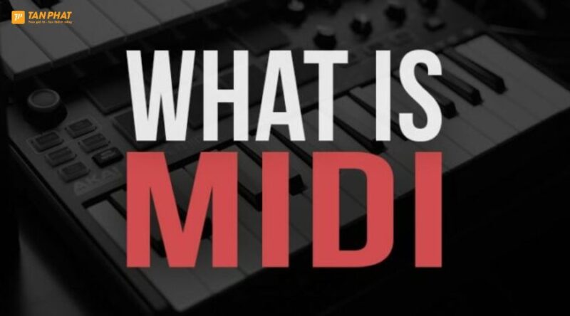 midi-la-gi