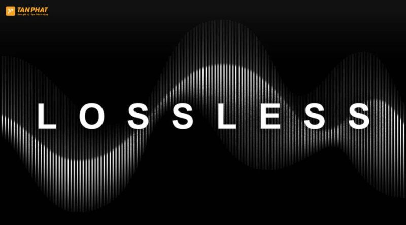 nhac-lossless-la-gi