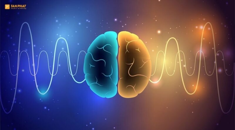 nhac-song-nao-la-gi (2)