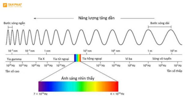tan-so-la-gi (2)
