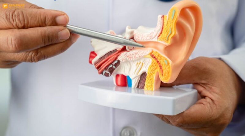 6-giac-quan-cua-con-nguoi-la-gi (3)