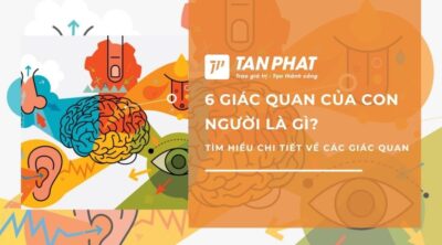 6-giac-quan-cua-con-nguoi-la-gi (8)