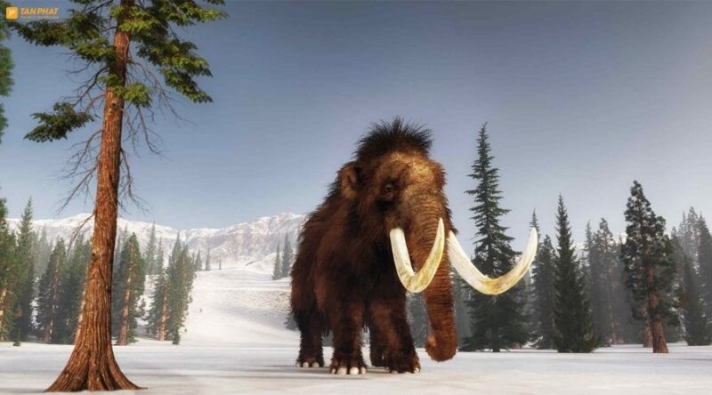 ky-bang-ha-la-gi (5)