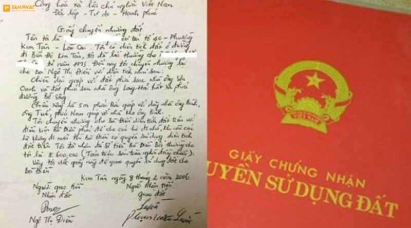 mau-giay-mua-ban-ruong-dat-viet-tay