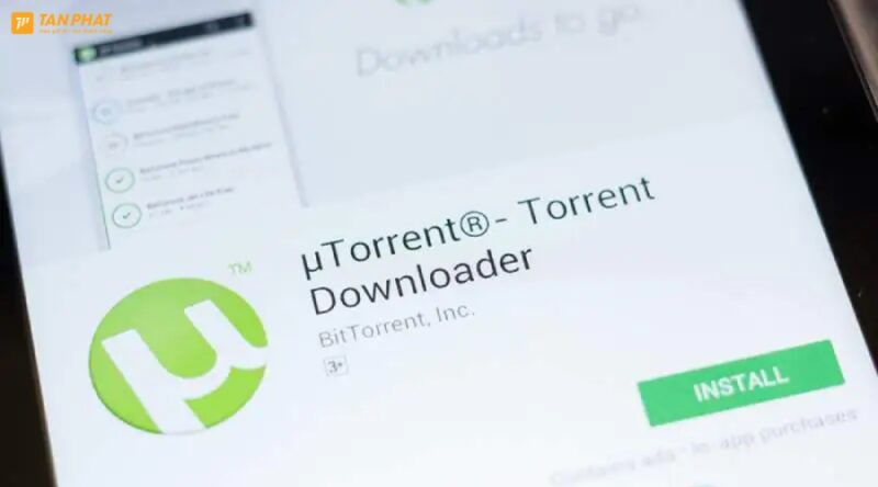 torrent-la-gi (3)
