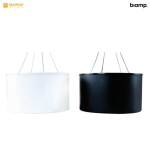 biamp-dynasound-ds1357
