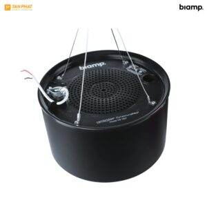 biamp-dynasound-ds1357