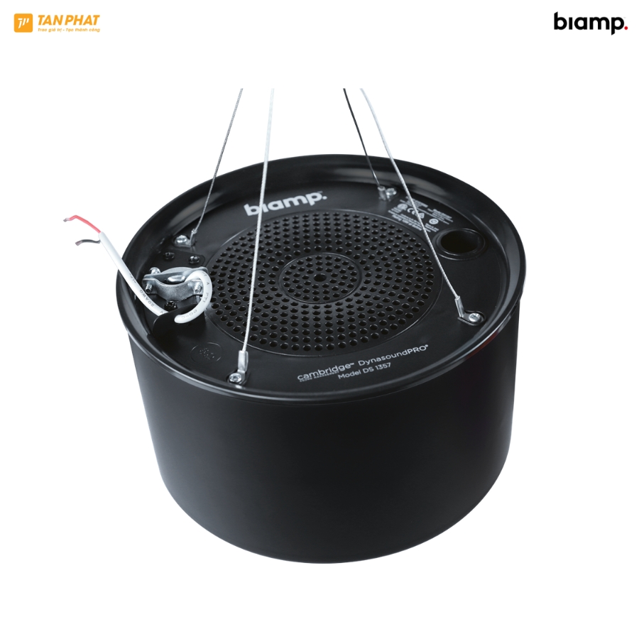 biamp-dynasound-ds1357