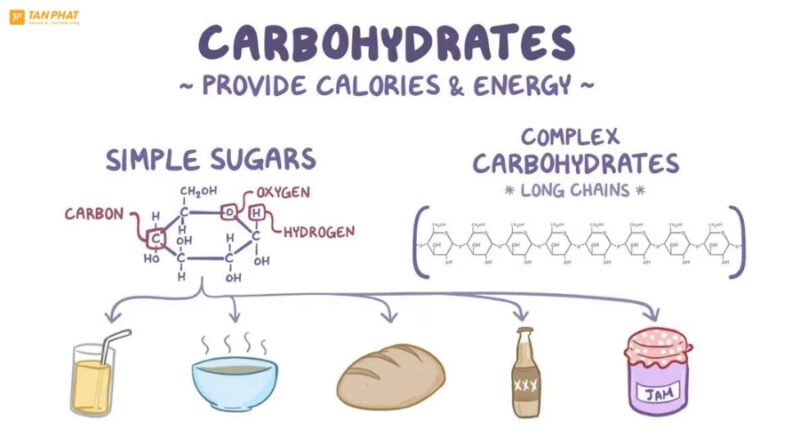 carbohydrate-la-gi (3)