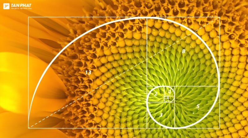 day-so-fibonacci-la-gi (5)